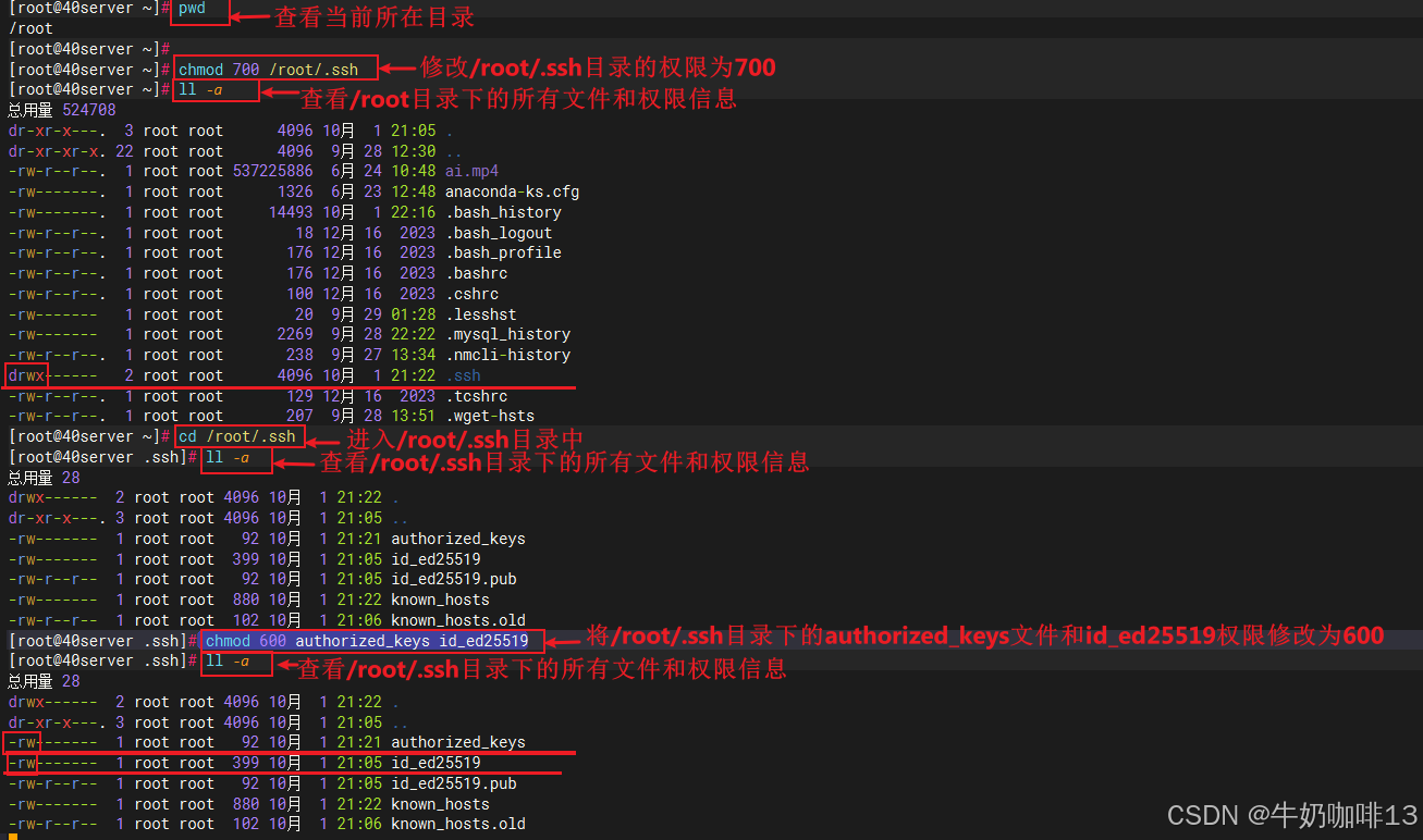 实现Linux的ssh免密登录实操保姆级教程