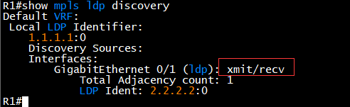 LDP 邻居无法建立排查步骤