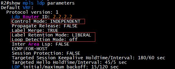 LDP 邻居无法建立排查步骤