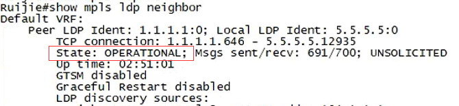 案例1 RSR20-X VPLS场景 VC无法建立