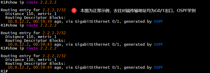 LDP 邻居震荡排查步骤