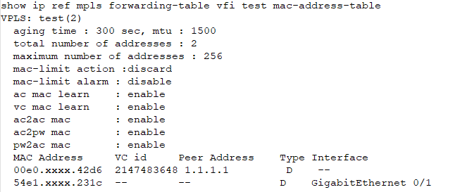 案例1 RSR20X VPLS Ping大包不通