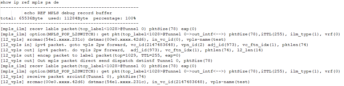 案例1 RSR20X VPLS Ping大包不通