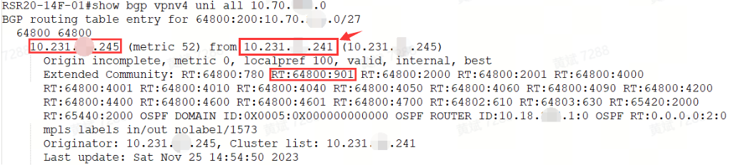 案例1 RSR20-X MPLS VPN场景 vrf路由学不到